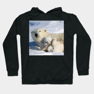 Polar bear cubs playing together Hoodie